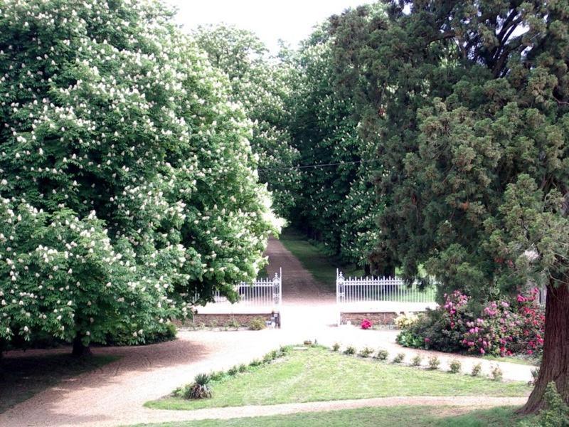 Chateau De Montbraye Parigne-l'Eveque Exterior photo